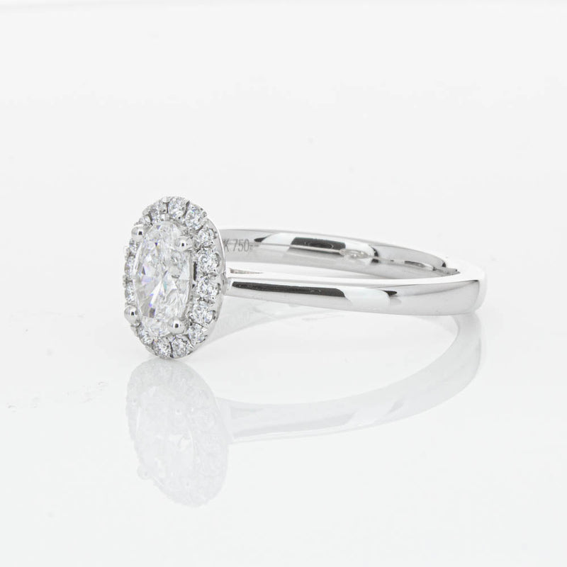 18ct White Gold .50ct Oval Cut Diamond Nina Ring-Ring-Walker & Hall