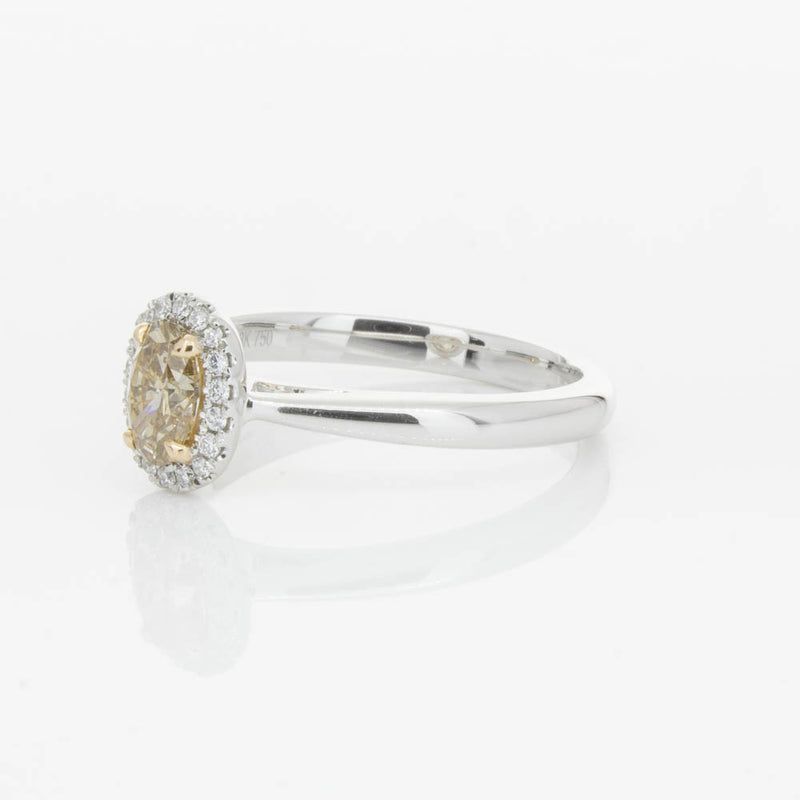 18ct White Gold .51ct Mocha Diamond Nina Ring-Ring-Walker & Hall