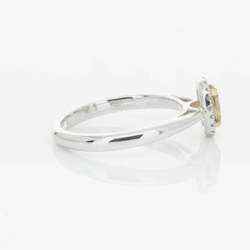 18ct White Gold .51ct Mocha Diamond Nina Ring-Ring-Walker & Hall