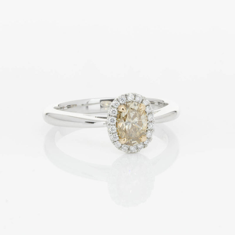 18ct White Gold .51ct Mocha Diamond Nina Ring-Ring-Walker & Hall