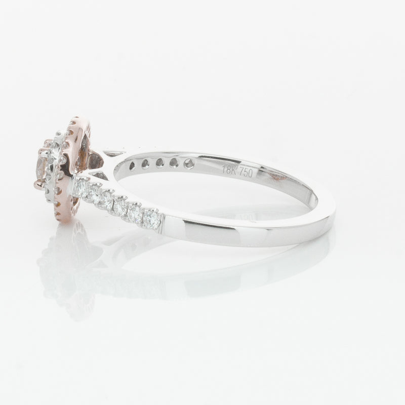 18ct White & Rose Gold .23ct Diamond Rosa Ring-Ring-Walker & Hall