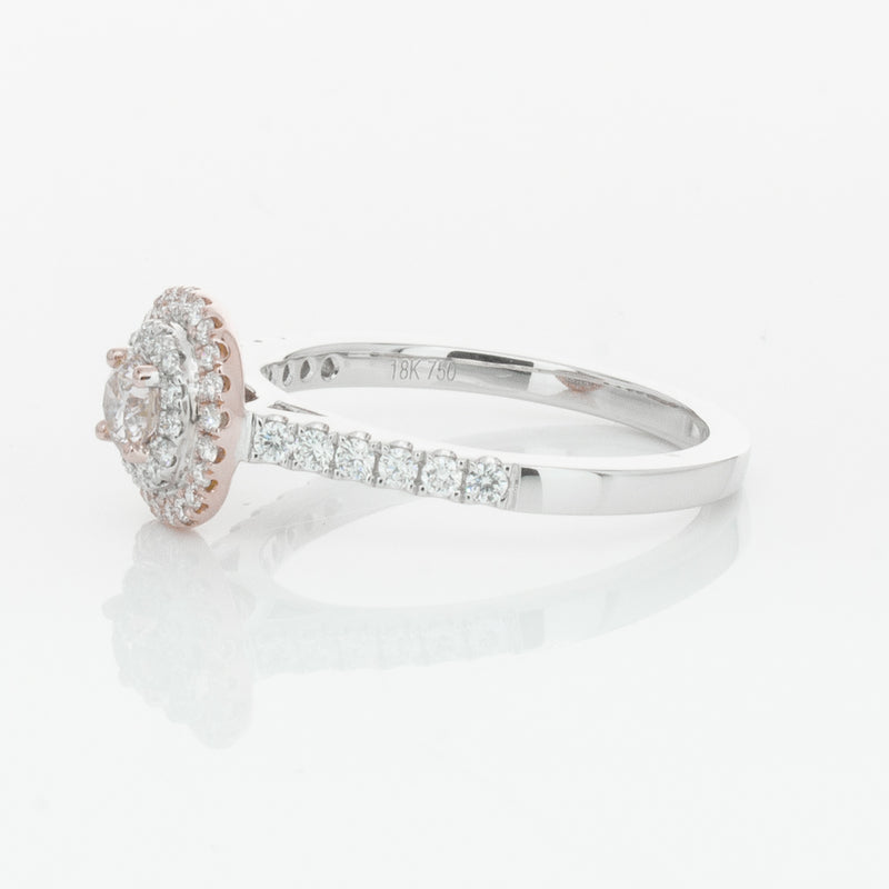 18ct White & Rose Gold .23ct Diamond Rosa Ring-Ring-Walker & Hall