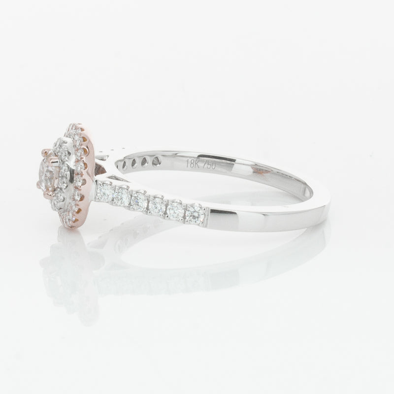 18ct White & Rose Gold .23ct Diamond Rosa Ring-Ring-Walker & Hall