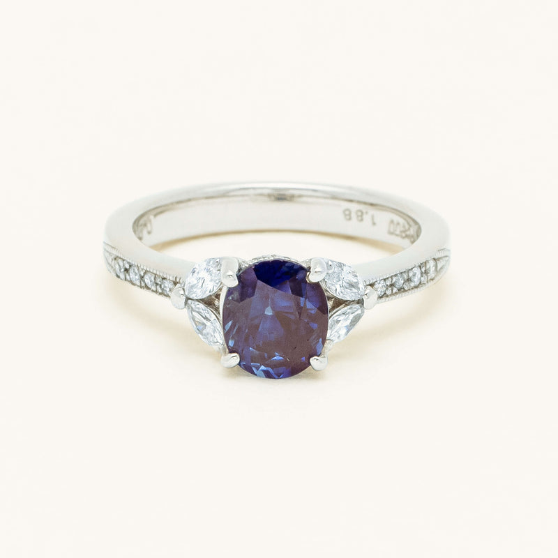 Deja Vu Platinum 1.88ct Sapphire & Diamond Ring - Ring - Walker & Hall