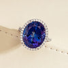 18ct White Gold 12.87ct Tanzanite & Diamond Sierra Ring - Ring - Walker & Hall