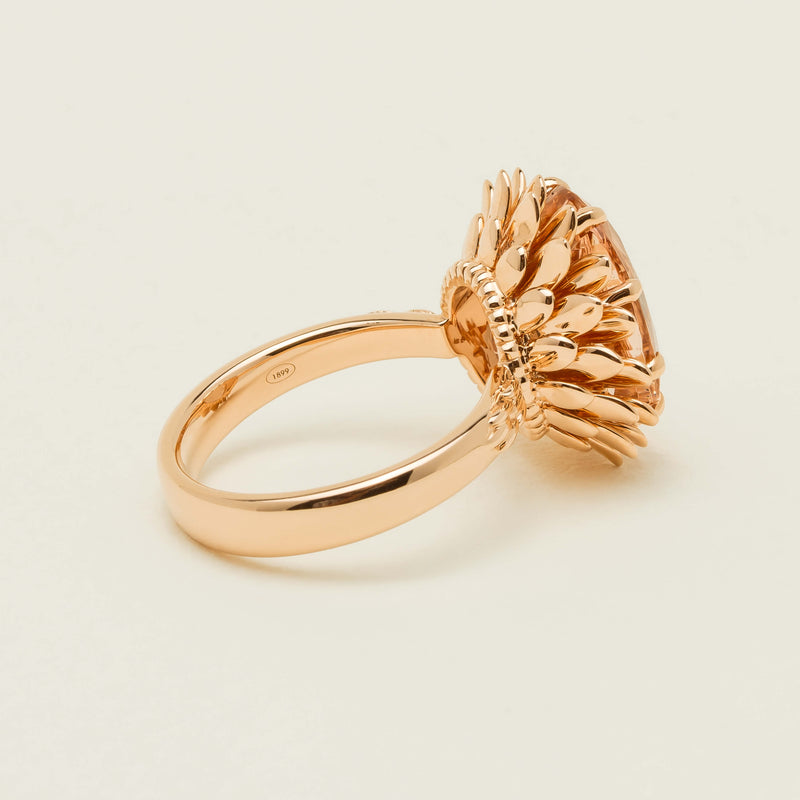 18ct Rose Gold 7.49ct Morganite Protea Ring - Ring - Walker & Hall
