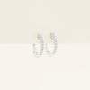 18ct White Gold .11ct Diamond Cosy Earrings - Earrings - Walker & Hall