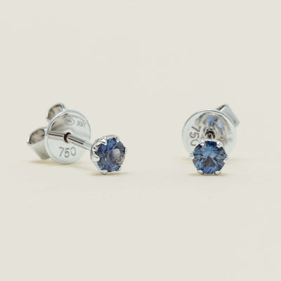 18ct White Gold .41ct Sapphire Lily Stud Earrings - Earrings - Walker & Hall