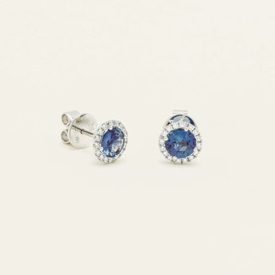 18ct White Gold 1.66ct Sapphire & Diamond Nina Earrings - Earrings - Walker & Hall