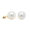 9ct Yellow Gold 9-10mm South Sea Pearl Earrings-Earrings-Walker & Hall