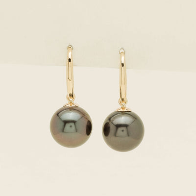 9ct Yellow Gold 10mm Tahitian Black Pearl Earrings