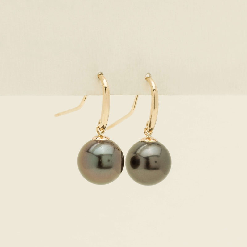 9ct Yellow Gold 10mm Tahitian Black Pearl Earrings