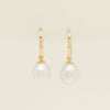9ct Yellow Gold 9mm South Sea Pearl Hook Earrings
