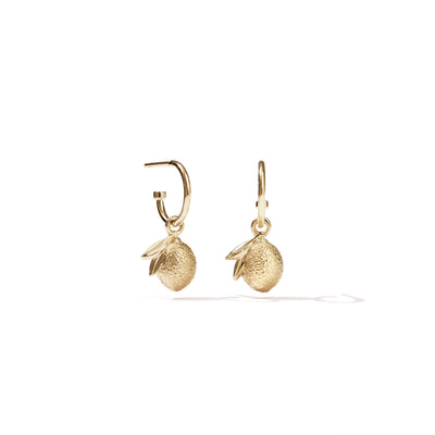 Meadowlark Lemon Signature Hoop Earrings - Gold Plated-Earrings-Walker & Hall