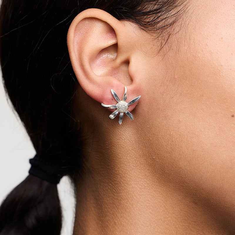 Meadowlark Medium Daisy Stud Earrings - Sterling Silver-Earrings-Walker & Hall