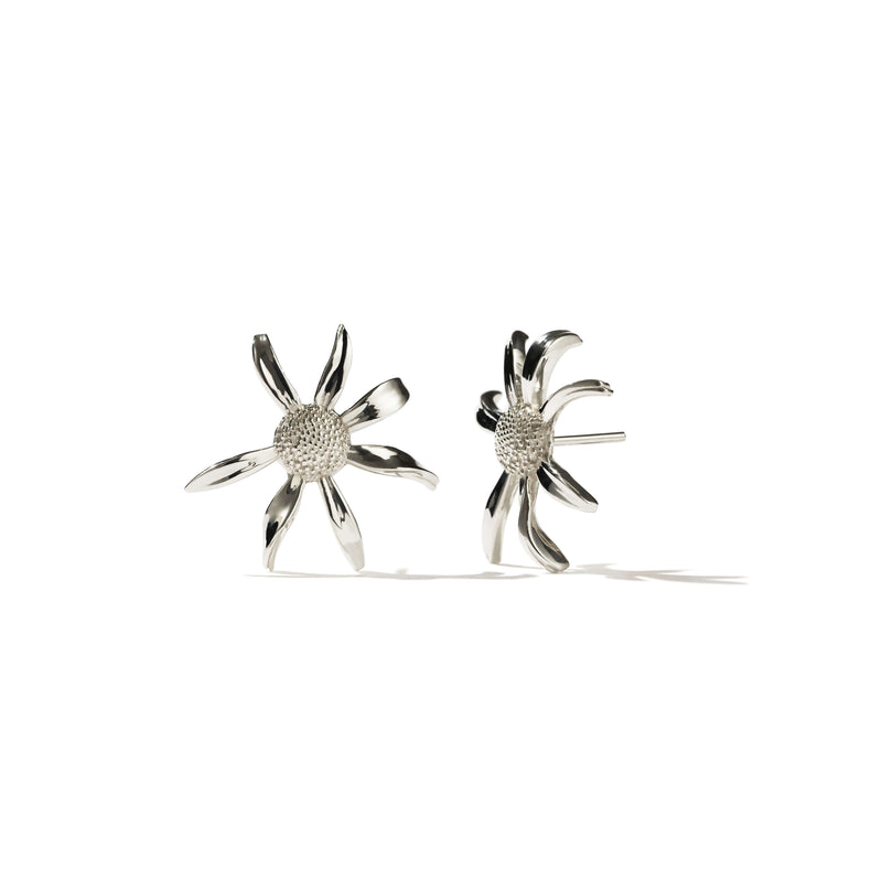 Meadowlark Medium Daisy Stud Earrings - Sterling Silver-Earrings-Walker & Hall
