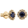18ct Yellow Gold 1.65ct Sapphire & Diamond Paramount Earrings-Earrings-Walker & Hall